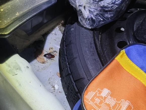 [湖州·浙E] 二手丰田卡罗拉2017款 改款双擎 1.8L E-CVT精英版