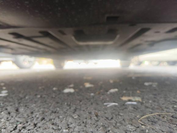 [深圳·粤B] 二手比亚迪海豚2023款 420km 自由版