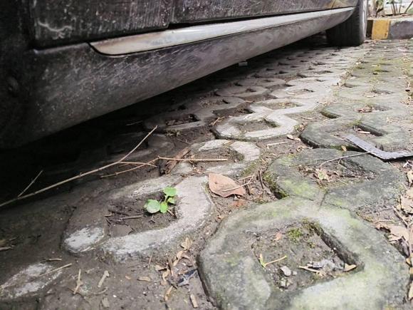 [上海·沪A] 二手奥迪奥迪A82011款 A8L 3.0 TFSI quattro豪华型(245kW)