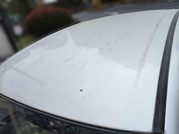 [南昌·赣A] 二手铃木启悦2015款 1.6L 自动舒享型