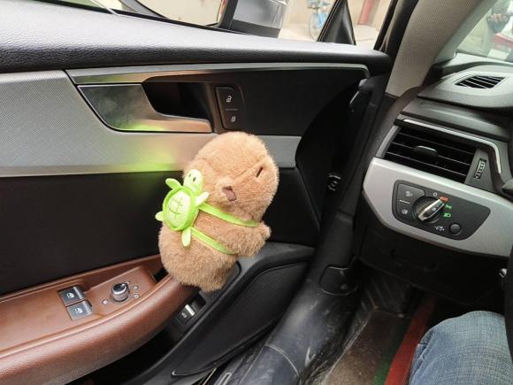 [西安·陕U] 二手奥迪奥迪A52017款 Coupe 40 TFSI 时尚型