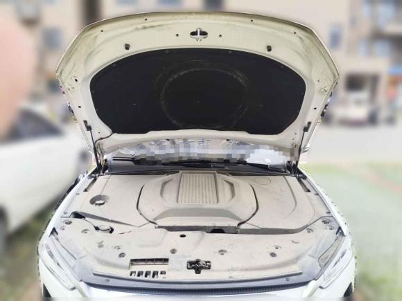 [武汉·鄂A] 二手比亚迪秦PLUS2021款 EV 500KM 豪华型