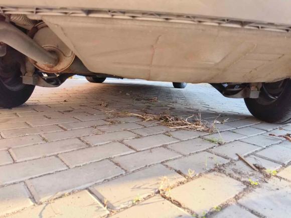 [青岛·鲁B] 二手大众捷达2015款 1.4L 手动时尚型