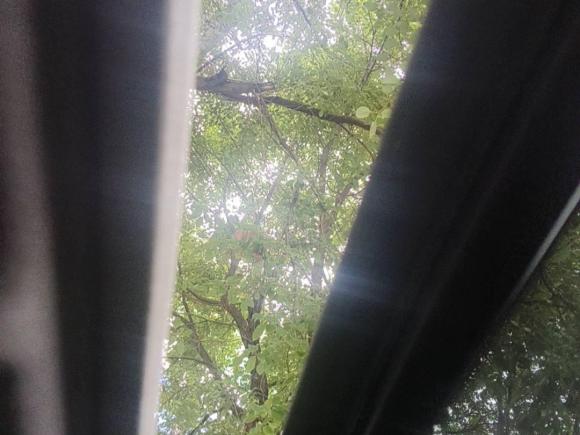 [金华·浙G] 二手宝马宝马3系2015款 320Li 超悦版时尚型