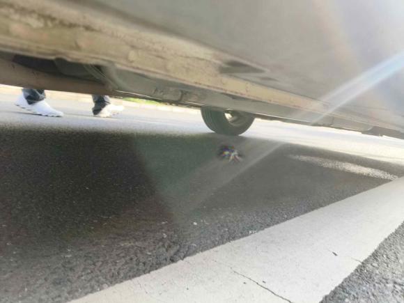 [常州·苏D] 二手起亚KX CROSS2017款 1.4L AT GLS