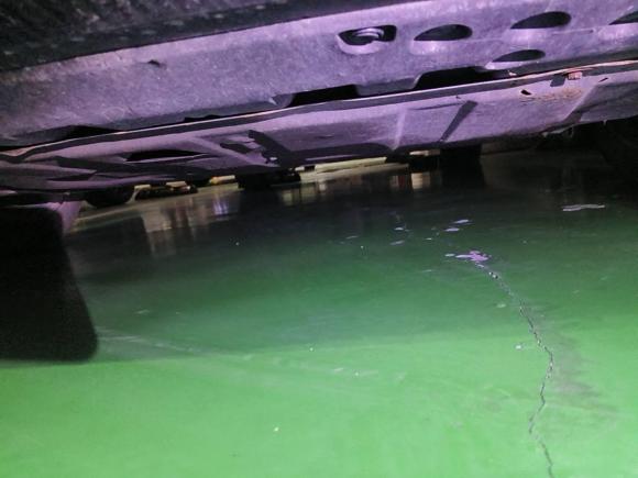 [杭州·浙A] 二手本田雅阁2021款 260TURBO 豪华·星空限量版