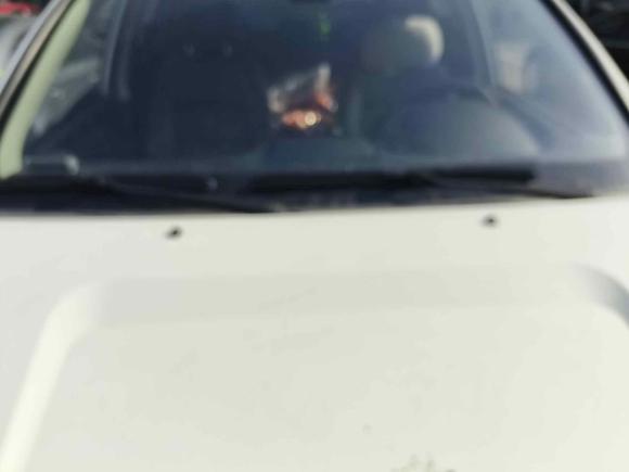 [上海·沪C] 二手哈弗哈弗H5经典2016款 经典版 2.0T 手动两驱精英型