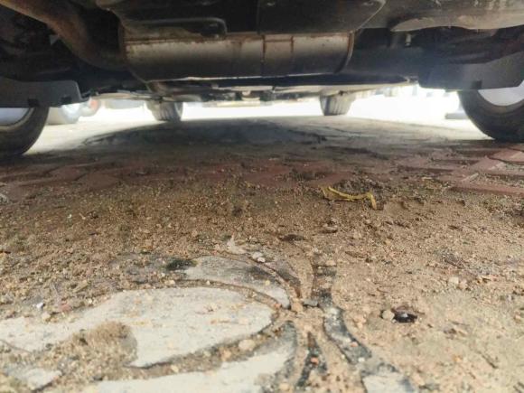 [济南·鲁A] 二手标致标致4082015款 1.2T 自动豪华版