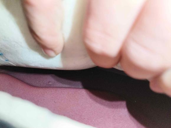 [西安·陕A] 二手福特福克斯2020款 三厢 1.5L 自动锋跃型