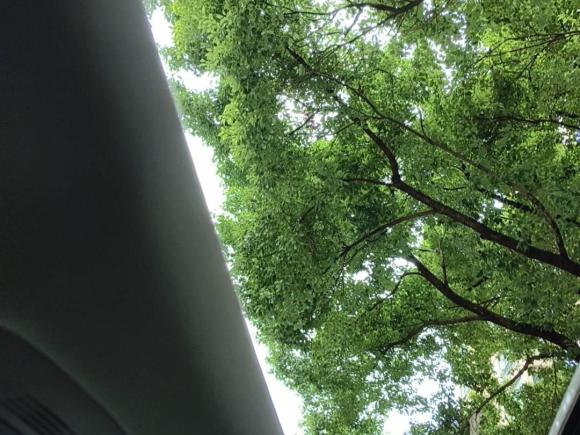 [上海·吉A] 二手雷克萨斯雷克萨斯RX经典2013款 270 精英版