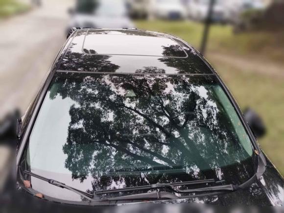 [上海·苏U] 二手本田雅阁2022款 260TURBO 幻夜·尊贵版