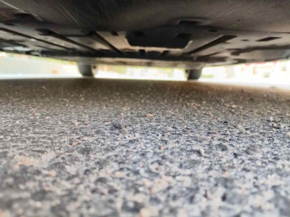 [青岛·鲁B] 二手比亚迪海豚2021款 401km 骑士版