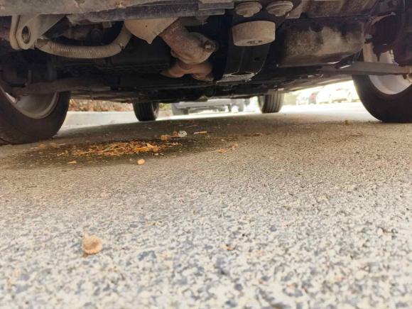 [青岛·鲁B] 二手道奇酷威2010款 2.7