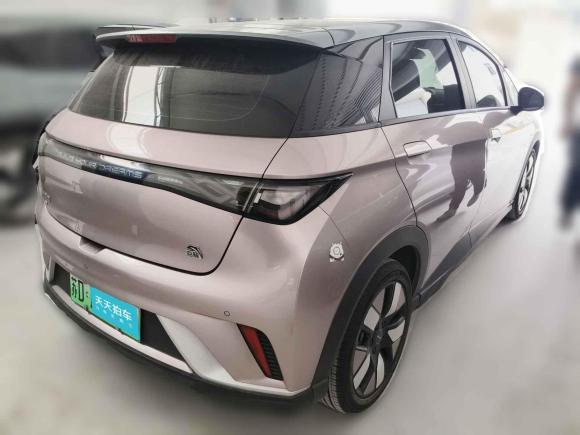 [常州·苏D] 二手比亚迪海豚2021款 401km 骑士版