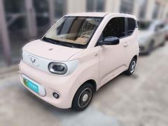 [无锡·苏B]五菱汽车&nbsp;&nbsp;宏光MINIEV&nbsp;&nbsp;2024款 第三代 215km 青春版