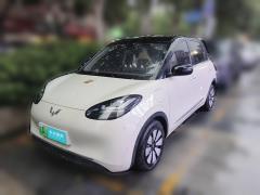 [南京·皖A] 五菱汽车五菱缤果2023款 333km 悦享款