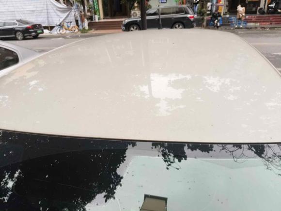 [成都·川A] 二手大众Polo2016款 1.4L 自动风尚型