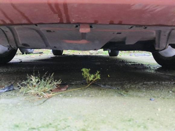 [无锡·苏B] 二手大众甲壳虫2010款 1.8T BlackOrange豪华版