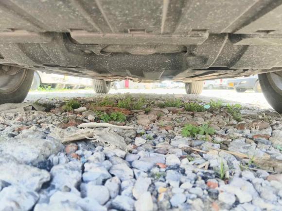 [上海·沪C] 二手本田歌诗图2012款 2.4L 尊享版