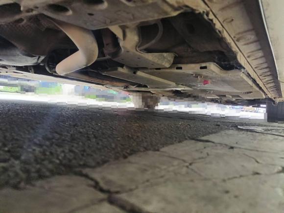 [成都·川A] 二手丰田卡罗拉2016款 双擎 1.8L E-CVT精英版