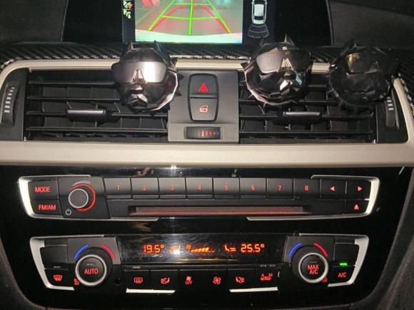 [温州·浙C] 二手宝马宝马3系2016款 320Li 时尚型