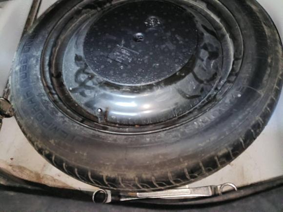 [嘉兴·浙C] 二手福特福睿斯2015款 1.5L 自动时尚型