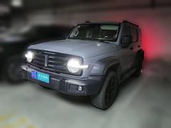 [上海·苏G] 坦克坦克3002021款 越野版 2.0T 征服者