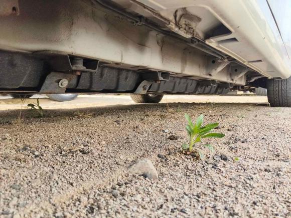 [青岛·鲁B] 二手比亚迪比亚迪e62016款 400 豪华版