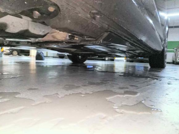 [上海·沪A] 二手斯柯达明锐2019款 TSI280 DSG豪华版