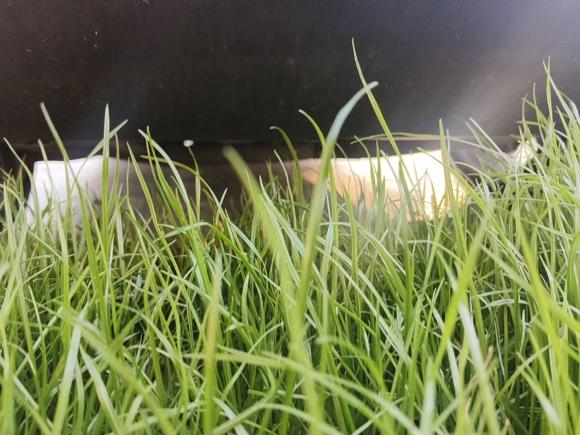 [南通·苏F] 二手克莱斯勒克莱斯勒300C2016款 3.0L 超越版