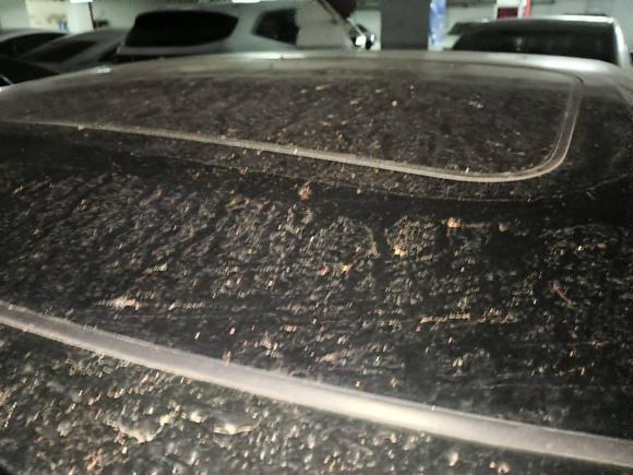 [西安·陕U] 二手本田思域2019款 220TURBO CVT劲动版 国VI