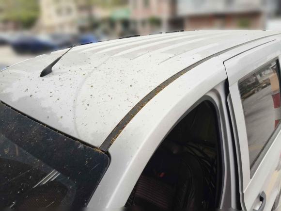 [佛山·粤E] 二手五菱汽车五菱宏光V2022款 1.5L劲取版电动助力LAR