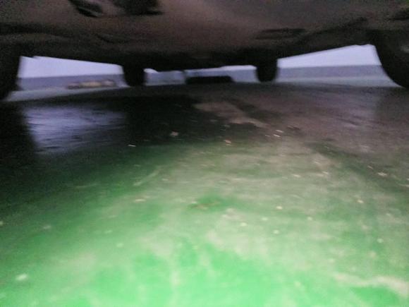 [温州·浙C] 二手日产轩逸2009款 1.6XL 自动豪华天窗版