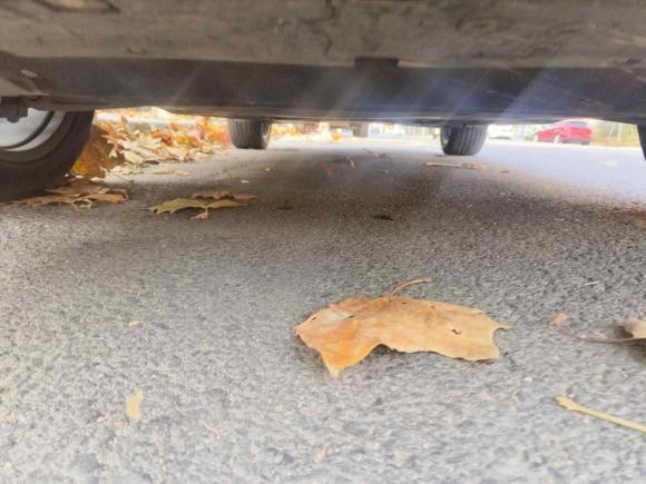 [青岛·鲁U] 二手奥迪奥迪Q5L2020款 40 TFSI 荣享时尚型