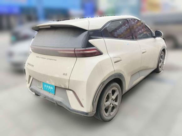 [武汉·鄂A] 二手比亚迪海鸥2023款 飞翔版