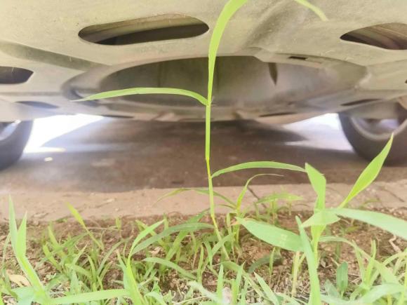 [青岛·鲁B] 二手丰田汉兰达2018款 2.0T 四驱豪华版 7座 国V