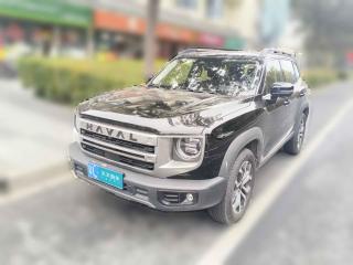 哈弗哈弗大狗2024款 1.5T DCT边牧版「上海二手车」「天天拍车」