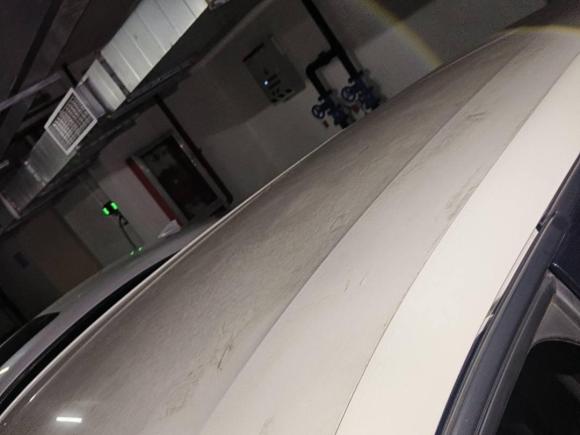 [上海·湘C] 二手比亚迪海鸥2023款 自由版