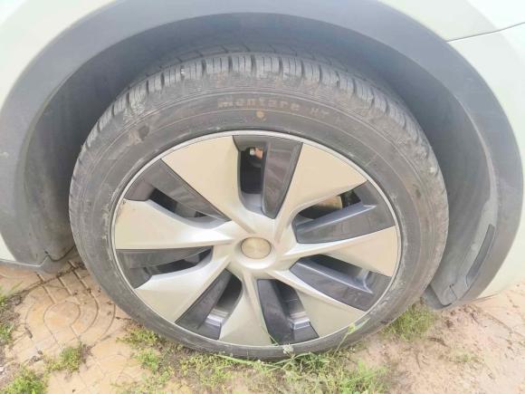 [温州·浙C] 二手特斯拉Model Y2021款 标准续航后驱版