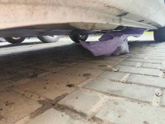 [合肥·皖A] 二手欧拉欧拉黑猫2019款 351km 亲子版