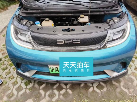 [上海·沪A] 二手比亚迪海豚2021款 401km 骑士版