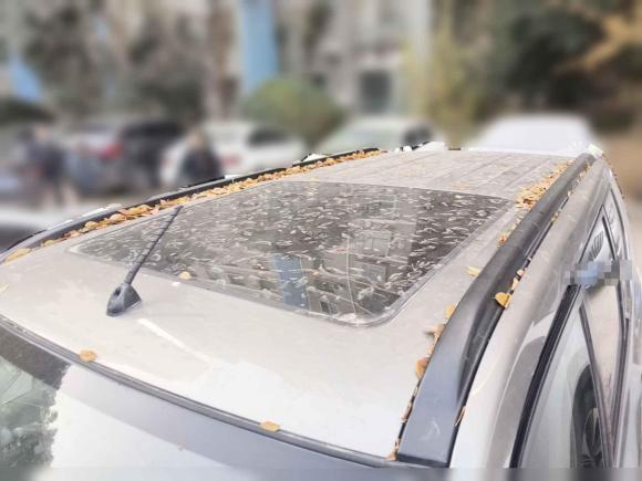 [合肥·皖A] 二手日产奇骏2010款 2.5L CVT豪华版 4WD