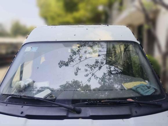 [嘉兴·浙F] 二手福特经典全顺2015款 2.8T柴油多功能车短轴6座中顶JX493ZLQ4