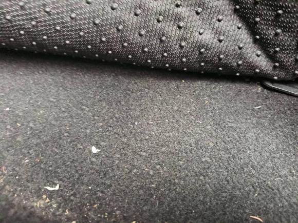 [深圳·湘N] 二手日产轩逸2016款 1.6XL  CVT尊享版