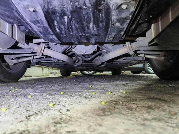 [深圳·粤B] 二手英菲尼迪英菲尼迪M系2012款 M25L 雅致版