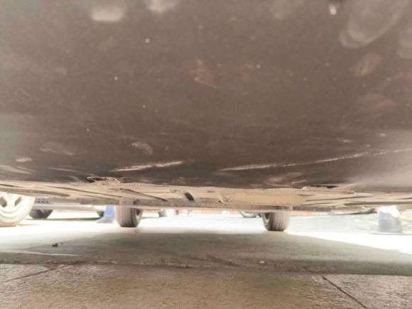 [上海·沪A] 二手比亚迪海豚2023款 420km 自由版