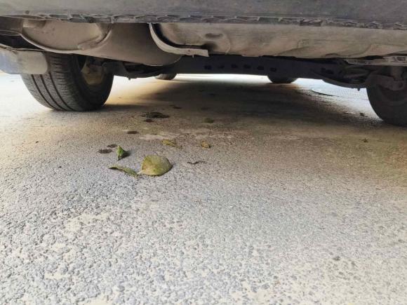 [西安·陕U] 二手大众朗逸2023款 改款 1.5L 自动满逸版