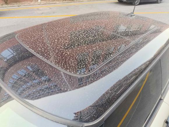 [嘉兴·浙F] 二手MINIMINI2023款 1.5T COOPER 艺术家