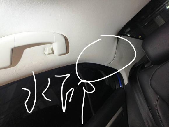 [上海·苏C] 二手大众凌渡2019款 280TSI DSG舒适版 国V