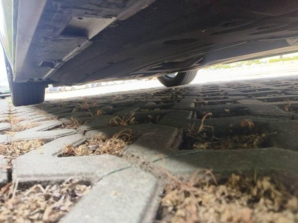 [宁波·浙B] 二手本田思域2019款 220TURBO CVT燃动版 国VI